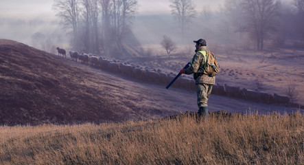Hunting period, autumn season open. A hunter with a gun in his hands in hunting clothes in the...