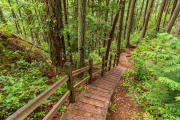Fototapeta premium View at Trail in Park in Vancouver, Canada.