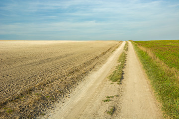 Fototapeta na wymiar Dirt road through a plowed and green field, horizon and white clouds on a blue sky