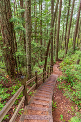 Fototapeta premium View at Trail in Park in Vancouver, Canada.