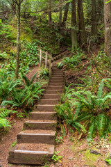 Obraz premium View at Trail in Park in Vancouver, Canada.
