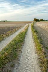 Long dirt road between plowed fields, horizon and sky