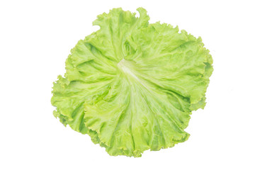 Salad leaf. Lettuce isolated on white background with clipping path.