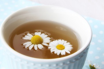cup of tea with chamomile flowers