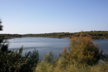 landscape with calm lake Huelva Spain