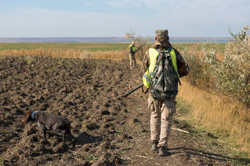 Hunters with a german drathaar and spaniel, pigeon hunting with dogs in reflective vests	