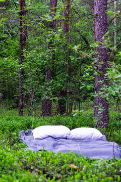 bed in a green forest