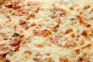 Cooked fresh pizza with cheese fragment, close-up shot