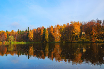 reflection of autumn trees in water