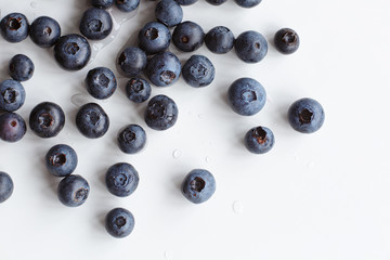 blueberries on white background