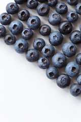 blueberries isolated on white background