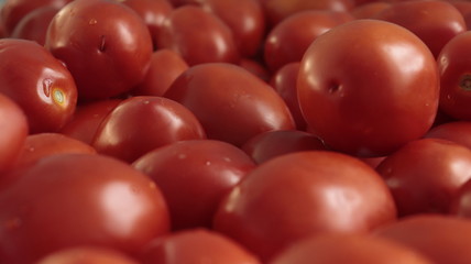 tomatoes background