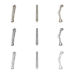 Vector design of medicine and clinic icon. Collection of medicine and medical vector icon for stock.