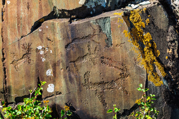 Rock painting. Gorny Altai, Russia