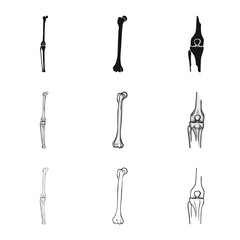 Vector design of medicine and clinic logo. Collection of medicine and medical vector icon for stock.