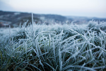 Frost II