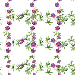 Watercolor seamless pattern of wild geranium flowers