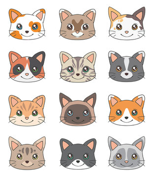 Cute cartoon style head of different domestic cat breed vector drawings 