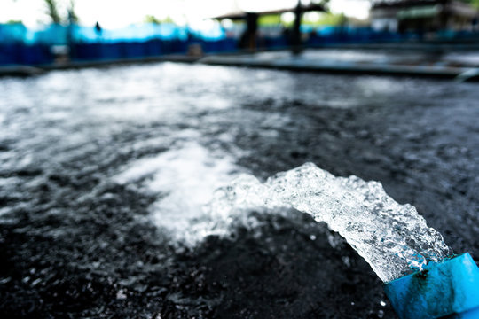 Water Flow Treatment System From The Water Pump Pipe.Motion Of Water Gushing Out Of The Pipe From Koi Pond Carp Fish Farm For Oxygen.Water Was Drain By Tube Pvc.Industrial Wastewater Treatment.