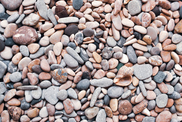 Multicolored colorful sea pebbles with shell, natural background, texture.Close-up texture of colorful sea pebble with shell . Small Rock. Sea background