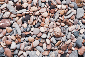 Multicolored colorful sea pebbles with shell, natural background, texture.Close-up texture of colorful sea pebble with shell . Small Rock. Sea background