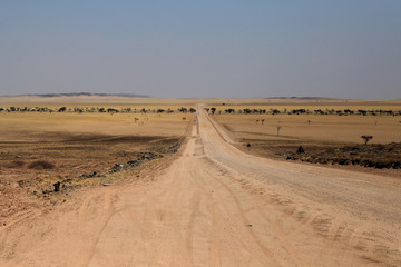 Namibia desert road