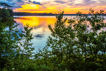 Sunset over ocean inlet with vegetation in foreground on Mount Desert Island, Maine, USA