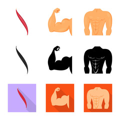 Isolated object of fiber and muscular sign. Collection of fiber and body vector icon for stock.