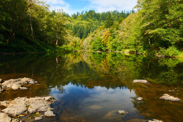 Fototapeta na wymiar Autumn colors on the Nehalem river. Usa Pacific Northwest.