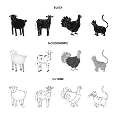 Vector design of breeding and kitchen icon. Set of breeding and organic stock symbol for web.