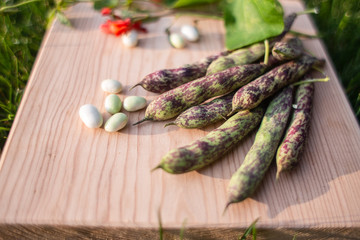 Different types of beans in the bowls