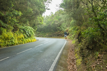 Fototapeta premium A young traveler walking along the side of an asphalt road. Anaga mountain range on the island of Tenerife. Giant laurels and heather tree along narrow winding paths. Paradise for hiking. Canary.