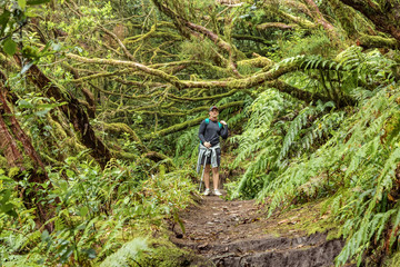 Fototapeta premium A young traveler in the relic forest. Slopes of the ancient Anaga mountain range on the island of Tenerife. Giant laurels and heather tree along narrow winding paths. Paradise for hiking. Canary.