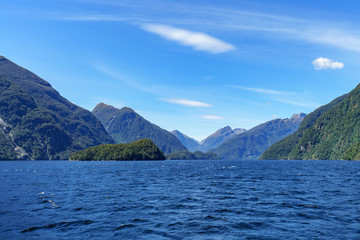 boat trip in the fjord, doubtful sound, fjordland, new zealand 8