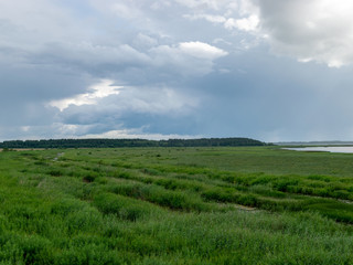 Fototapeta na wymiar Peaceful beach dunegrass and storm clouds, reflections, Lake Burtnieks, Latvia