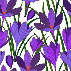 seamless pattern with flowers crocus