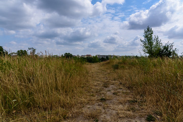Fototapeta premium A little spot of nature inside of Leipzig
