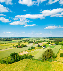 Fototapeta na wymiar Green fields and trees of Polish countryside stretch to the horizon under white clouds and blue sky