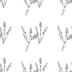 lavender natural hand drawn pattern white and black illustration. Herbal botanical  decoration background