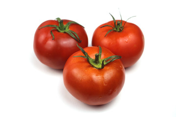  beautiful red and round tomato
