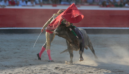 Torero toreando en la plaza de toros