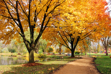 Midwest nature background with park view.Beautiful autumn landscape with colorful trees around the pond and bench in a city park.Kids playground in a background.Lakeview park, Middleton, Madison area.
