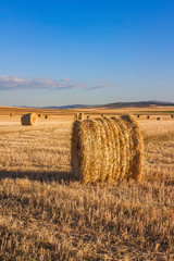 BALLOON OF STRAW PICKED ILLUMINATED BY THE SUN OF SUNSET IN FIELD OF SPAIN AND HORIZON OF HEAVEN AND FIELD