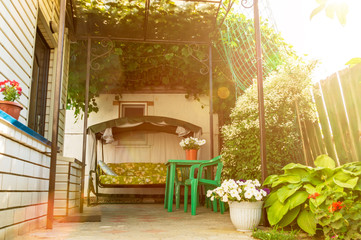 The courtyard of the small house with the resting place under a natural shadow canopy of vine plants and garden swing sofa in the summer outdoors