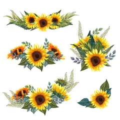 Fotobehang Zonnebloemen Mooie bloemencollectie met zonnebloemenboeket, bladeren, takken, varenbladeren. Heldere aquarel zonnebloemen samenstelling set.