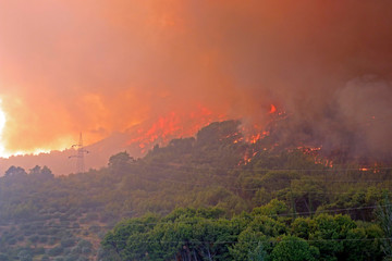 Massive Wildfire