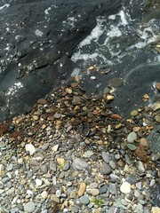 abstract background seawater, small stones, coastal pebbles, stone gray surface, cracks, wrinkles, shards, stains, shimmering, gradient, fine details, porous, natural, double, half, spotted, multi