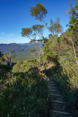 Fototapeta na wymiar hiking the grand clifftop walk, blue mountains, australia 7