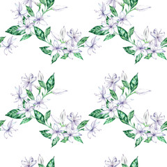 Watercolor seamless pattern with white coffee flowers and green leaves.