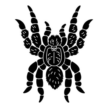 Tarantula icon. Simple illustration of tarantula vector icon for web design isolated on white background